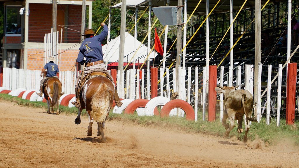 Lançamento do 30° Rodeio Internacional do Conesul ocorrerá na próxima quinta-feira Lançamento do 30° Rodeio Internacional do Conesul ocorrerá na próxima quinta-feira