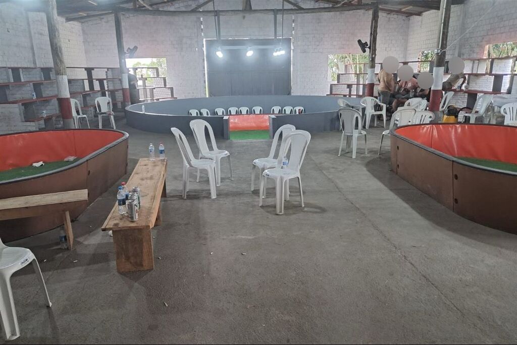 título imagem Operação da Brigada Militar resulta na detenção de 49 pessoas por maus-tratos a animais e rinha de galos na região