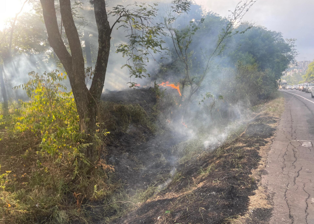 título imagem Com a falta de chuva, incêndios em vegetação aumentam 84% em Santa Maria