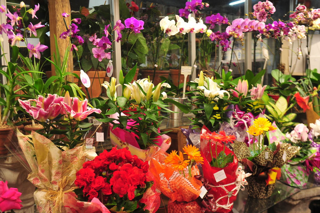 Foto: Jean  Pimentel (Diário/Arquivo) - 