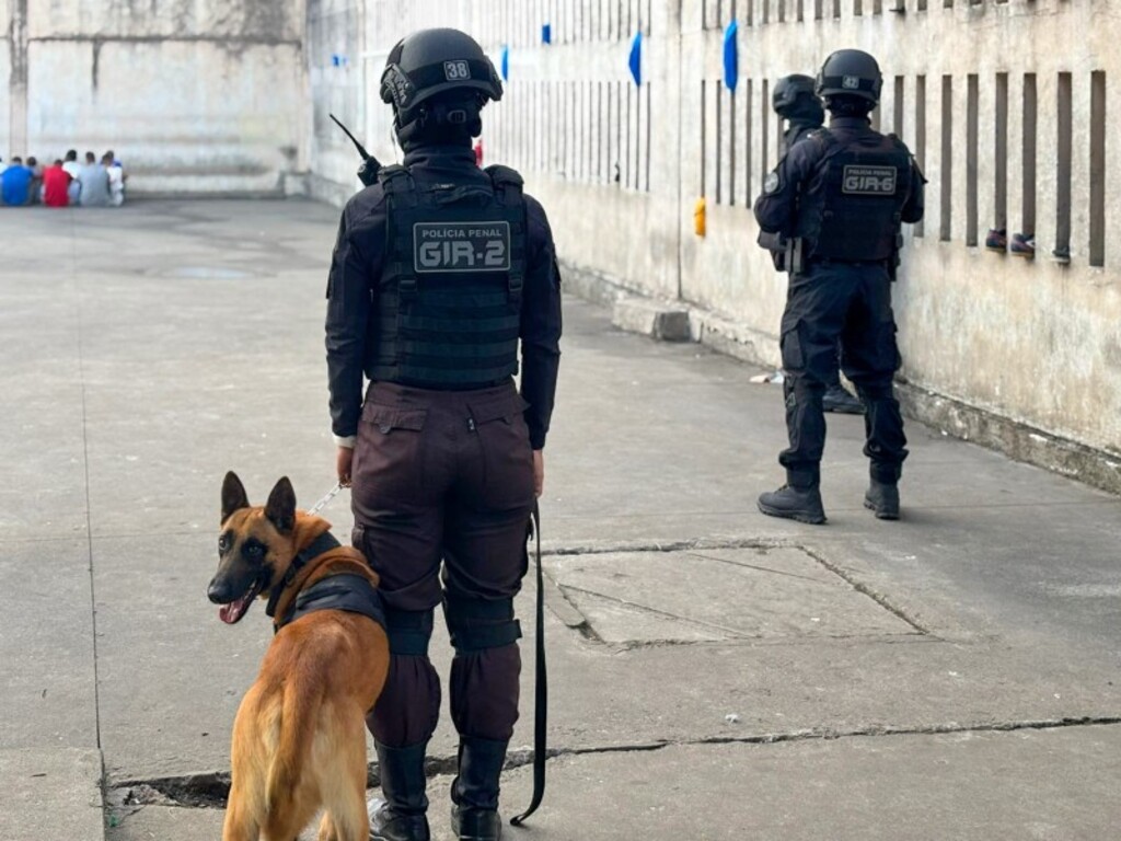 Foto: Polícia Penal (Divulgação) - Ação ocorreu na última sexta-feira em um dos módulos da Pesm