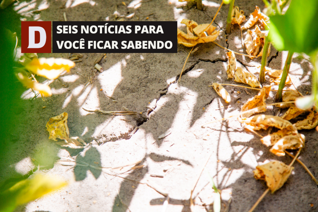 título imagem Com prejuízo superior a R$ 17 milhões, Rosário do Sul decreta situação de emergência devido à estiagem e outras 5 notícias