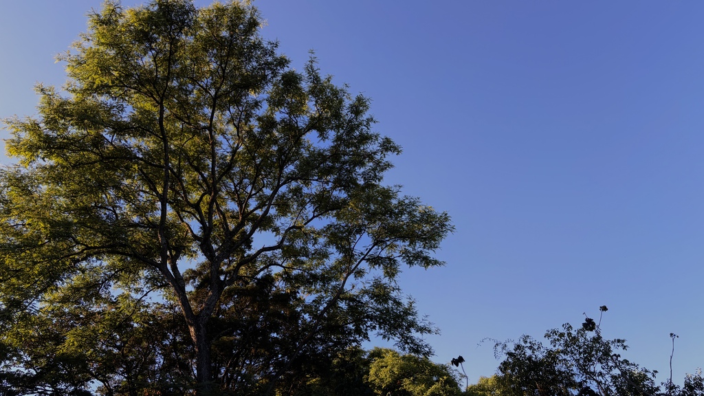 Quarta inicia com sol e cerração em pontos isolados de Santa Maria; quinta pode ter a temperatura mais alta da semana