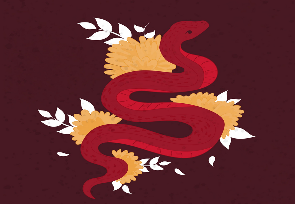 Ano Novo Chinês: Que tal se preparar para o Ano da Serpente Madeira?