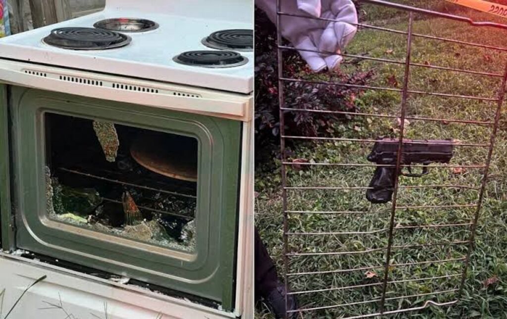 Foto: Divulgação - 