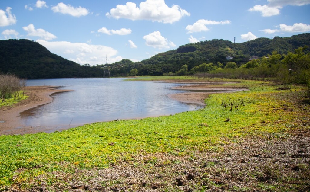 Corsan divulga nível das barragens de Santa Maria e quanto está baixando com a seca; confira