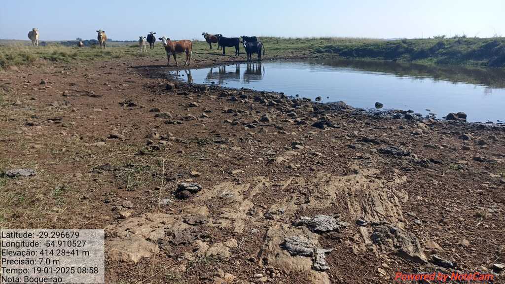 Com R$ 260 milhões em perdas, prefeitura de Santiago diz que todos os 48 mil habitantes são afetados pela estiagem