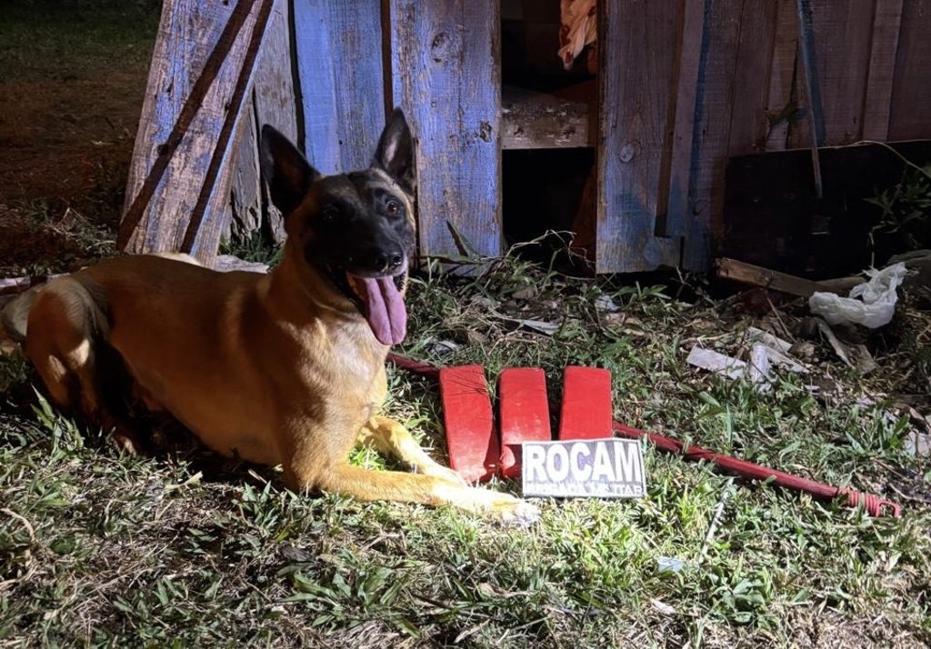 título imagem Homem é preso por tráfico de drogas no Bairro Itararé em Santa Maria