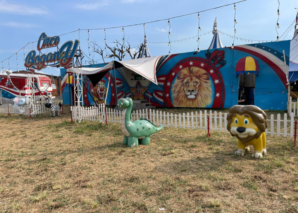 título imagem Circo com 15 anos de tradição está em Santa Maria para apresentações; confira a programação e o valor dos ingressos