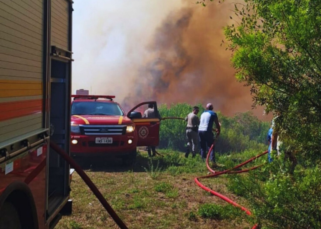 Foto: Divulgação - 